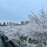 花梨 花梨（エコ難波店） スピードエコ難波店