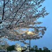 ヒメ日記 2026/04/24 00:42 投稿 花梨 スピードエコ難波店