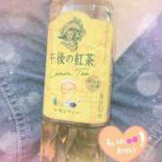 ヒメ日記 2025/05/23 19:15 投稿 りかこ clubさくら梅田店