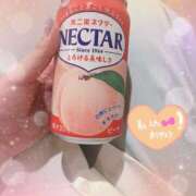 ヒメ日記 2025/05/25 12:45 投稿 りかこ clubさくら梅田店