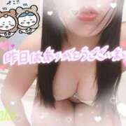 ヒメ日記 2025/09/20 08:45 投稿 りかこ clubさくら梅田店