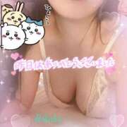 ヒメ日記 2026/03/15 08:55 投稿 りかこ clubさくら梅田店