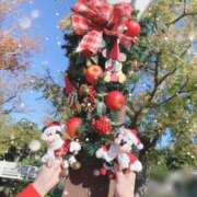 ヒメ日記 2025/12/08 14:02 投稿 夕張めろん セレブショップ新宿（東京ハレ系）