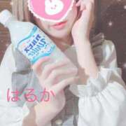 ヒメ日記 2024/12/09 04:00 投稿 はるか リアル 梅田店