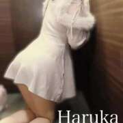 はるか 東京からのお兄様♡ リアル 梅田店