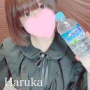 ヒメ日記 2026/01/29 23:10 投稿 はるか リアル 梅田店