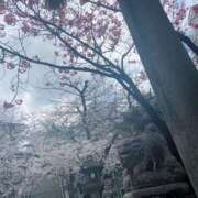 ヒメ日記 2026/04/02 09:37 投稿 らら 鶯谷デリヘル倶楽部