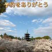 ヒメ日記 2025/02/15 13:19 投稿 橘由子 大阪人妻花壇