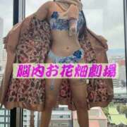 ヒメ日記 2025/03/24 19:06 投稿 橘由子 大阪人妻花壇