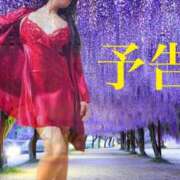 ヒメ日記 2025/05/07 00:14 投稿 橘由子 大阪人妻花壇