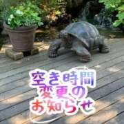 ヒメ日記 2025/05/18 12:31 投稿 橘由子 大阪人妻花壇