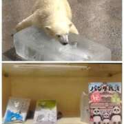 ヒメ日記 2025/07/14 19:56 投稿 橘由子 大阪人妻花壇