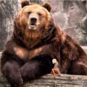 ヒメ日記 2025/12/27 17:19 投稿 橘由子 大阪人妻花壇