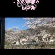ヒメ日記 2026/03/21 10:35 投稿 橘由子 大阪人妻花壇