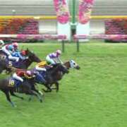 ヒメ日記 2026/05/24 16:59 投稿 橘由子 大阪人妻花壇