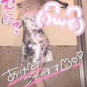 ヒメ日記 2025/04/19 23:38 投稿 山口 すみれ ハレ系 福岡DEまっとる。