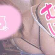 ヒメ日記 2025/05/16 21:17 投稿 山口 すみれ ハレ系 福岡DEまっとる。