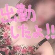 ヒメ日記 2025/09/04 12:00 投稿 山口 すみれ ハレ系 福岡DEまっとる。