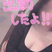 ヒメ日記 2025/10/23 09:43 投稿 山口 すみれ ハレ系 福岡DEまっとる。