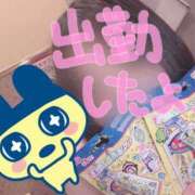 ヒメ日記 2026/04/27 11:59 投稿 山口 すみれ ハレ系 福岡DEまっとる。＆ひよこ治療院