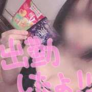 山口 すみれ 出勤😼🎶 ハレ系 福岡DEまっとる。＆ひよこ治療院