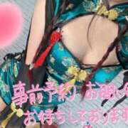 ヒメ日記 2026/09/16 00:30 投稿 山口 すみれ ハレ系 福岡DEまっとる。＆ひよこ治療院