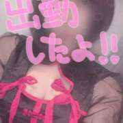 ヒメ日記 2026/10/08 12:06 投稿 山口 すみれ ハレ系 福岡DEまっとる。＆ひよこ治療院