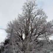 ヒメ日記 2026/02/08 18:20 投稿 ゆあ チュッパリップス横浜in綱島