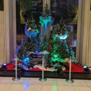 ヒメ日記 2024/12/13 22:38 投稿 すみれ みやこ