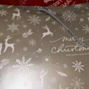 ヒメ日記 2024/12/21 16:16 投稿 すみれ みやこ