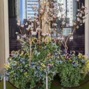 ヒメ日記 2025/02/13 19:54 投稿 すみれ みやこ