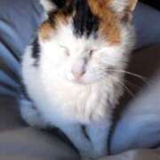 ヒメ日記 2025/02/19 17:06 投稿 すみれ みやこ