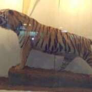 ヒメ日記 2025/02/28 14:06 投稿 すみれ みやこ