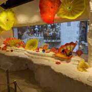 ヒメ日記 2025/03/16 20:32 投稿 すみれ みやこ