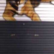 ヒメ日記 2025/03/23 10:31 投稿 すみれ みやこ