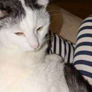 ヒメ日記 2025/04/04 16:03 投稿 すみれ みやこ