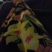 ヒメ日記 2025/04/14 16:47 投稿 すみれ みやこ