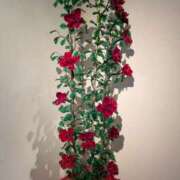 ヒメ日記 2025/04/17 21:02 投稿 すみれ みやこ