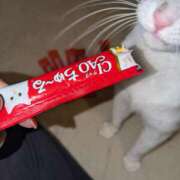 ヒメ日記 2025/05/02 10:47 投稿 すみれ みやこ