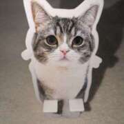 ヒメ日記 2025/05/04 09:24 投稿 すみれ みやこ