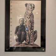 ヒメ日記 2025/05/17 22:44 投稿 すみれ みやこ