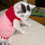 ヒメ日記 2025/06/07 21:45 投稿 すみれ みやこ