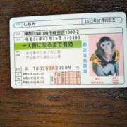 すみれ 熱海のおサルのしちみちゃん🙈 みやこ