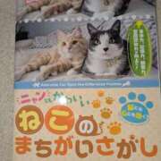 ヒメ日記 2026/05/03 20:41 投稿 すみれ みやこ