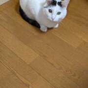 ヒメ日記 2026/05/17 17:41 投稿 すみれ みやこ