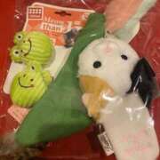 ヒメ日記 2025/05/05 16:44 投稿 ねね Evolution 2nd