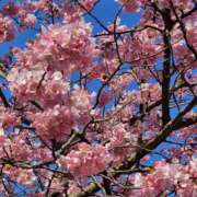 ヒメ日記 2025/02/27 12:02 投稿 間宮 熟女待機所 厚木店