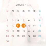 ヒメ日記 2025/11/11 11:42 投稿 るり Evolution 2nd