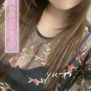 ヒメ日記 2026/05/03 08:00 投稿 ゆうり★1月31日デビュー！！ 金瓶梅-きんぺいぱい-