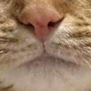 ヒメ日記 2026/03/02 12:46 投稿 ゆい Evolution 2nd